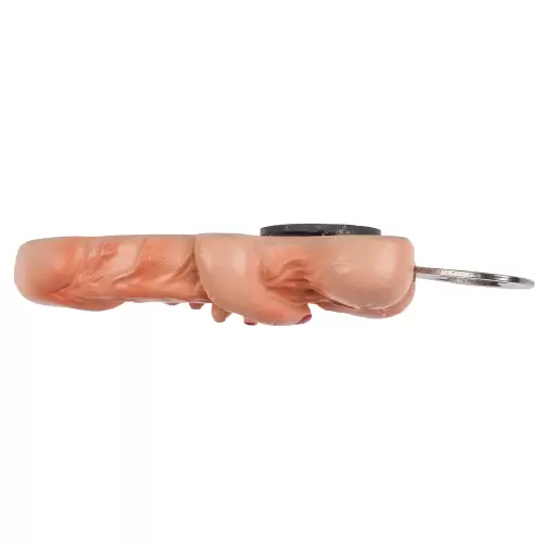 Metall-Flaschenöffner Penis