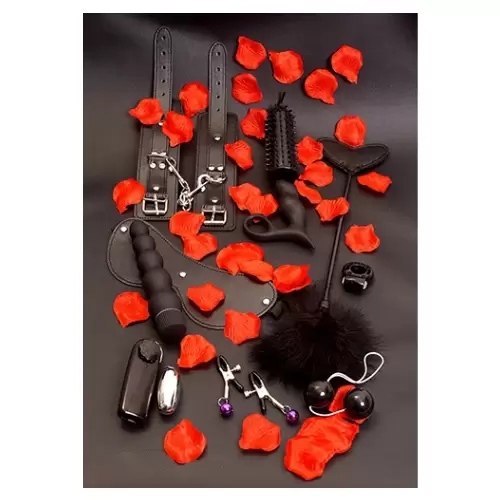 Zestaw-LOVETOY STARTER KIT