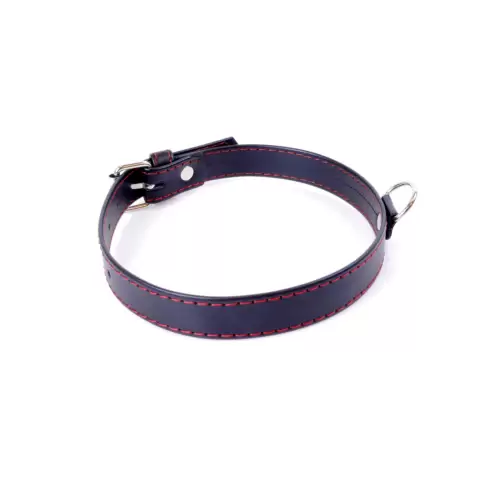 Fetish Boss Series Collar 2cm Red Line