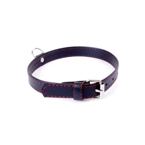 Fetish Boss Series Collar 2cm Red Line