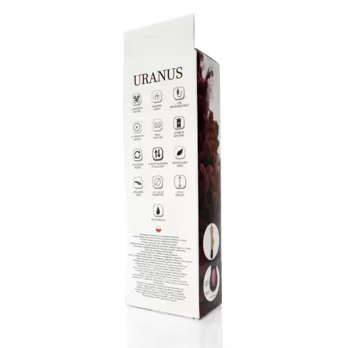 Wibrator-URANUS-USB-12function,up&down vibrator