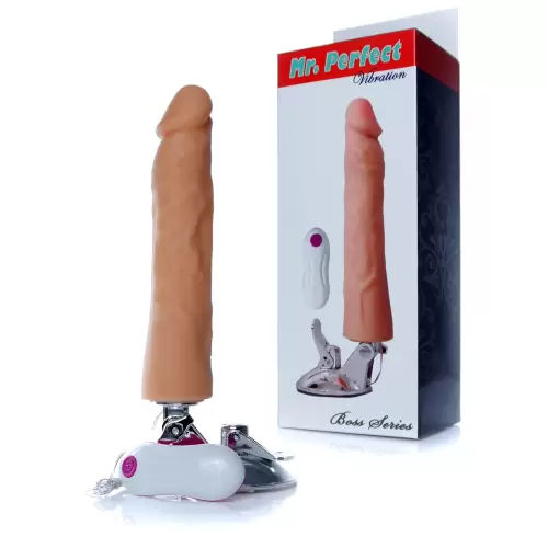Wibrator-Mr. Perfect Vibration 12 functions