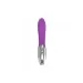 Wibrator-VIBRATORE RABBIT ELYS - CHARM MOVE RABBIT PURPLE