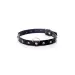 Fetish Boss Series Collar - 2 cm turquoise crystal