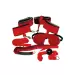 Zestaw-BK Red Giant