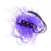 Silicone Whip Purple 10