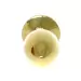 Plug-Jewellery Gold PLUG ROSE- Red