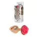 Plug-Jewellery Red Gold PLUG ROSE- Pink