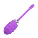 PRETTY LOVE - FRANKLIN EGG Purple